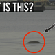 Image for article titled What Is This? A Monster? A Seal?